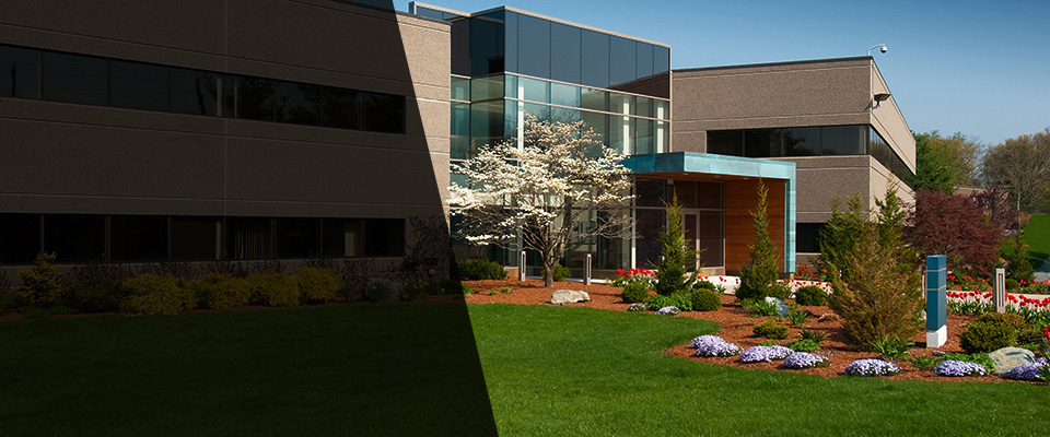 Burgaw Landscapers