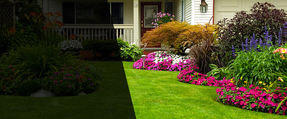 Burgaw Landscapers