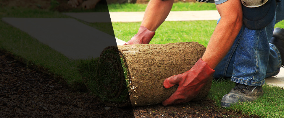 Burgaw Landscapers